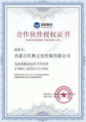 西部数据钻石合作伙伴